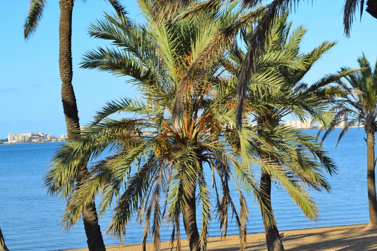 ホテル Casita Movil En Camping De La Manga エクステリア 写真